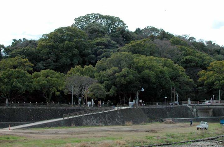 諫早市城山暖地性樹叢