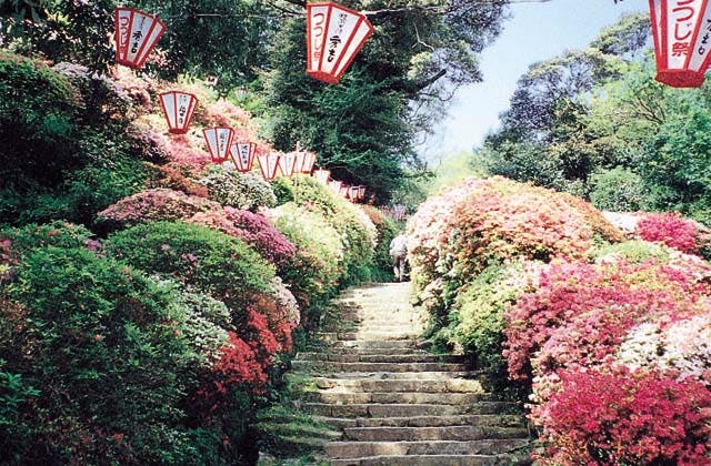 スポットの写真