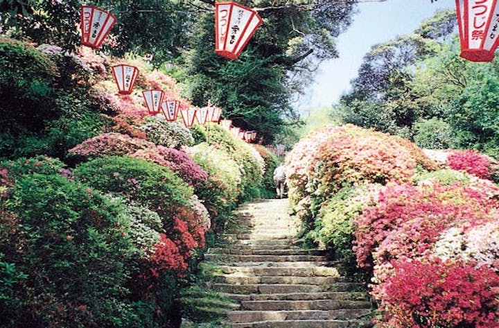 諫早つつじ祭り