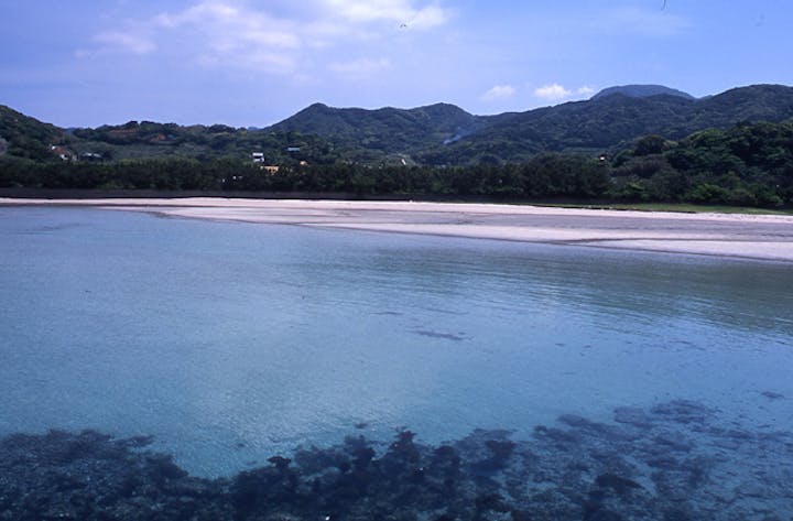 【2021年度中止】根獅子の浜海水浴場