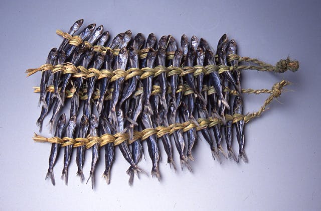 スポットの写真