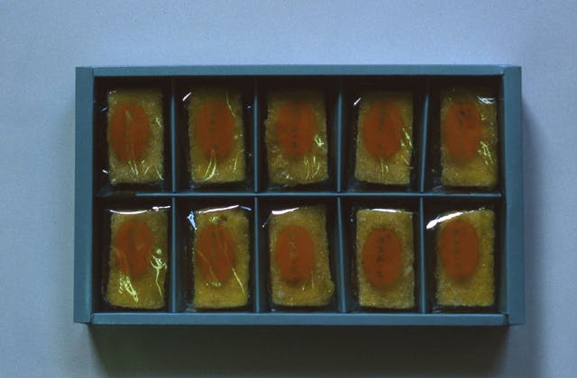 スポットの写真