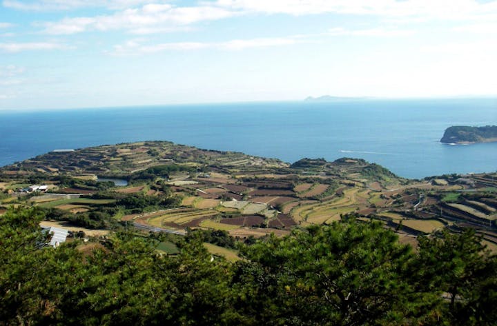 平ノ辻農村公園