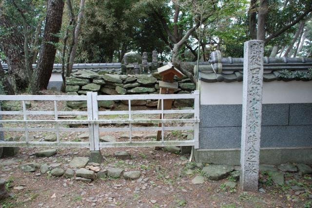 スポットの写真