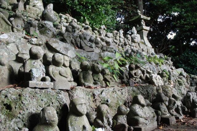 スポットの写真