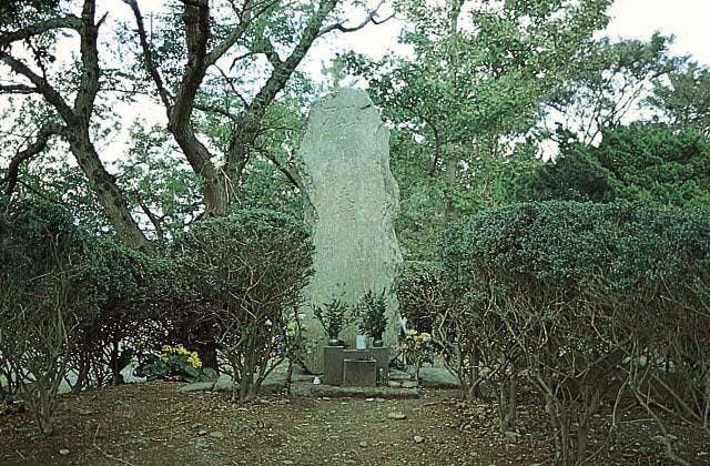 スポットの写真