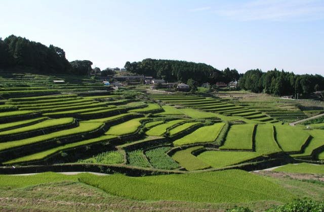 スポットの写真