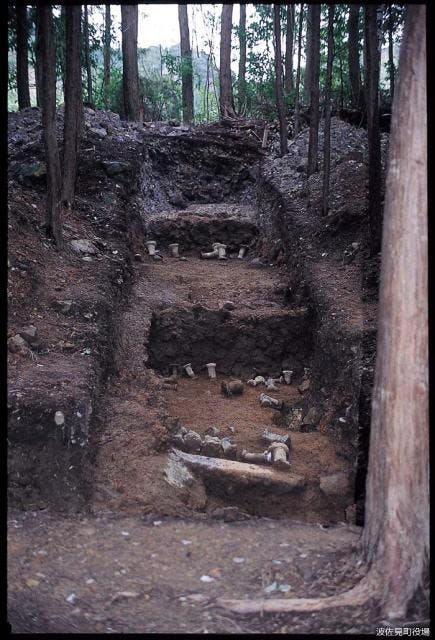 スポットの写真