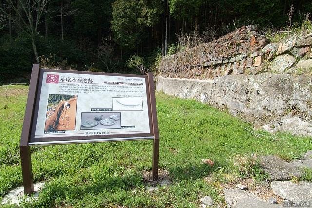 スポットの写真