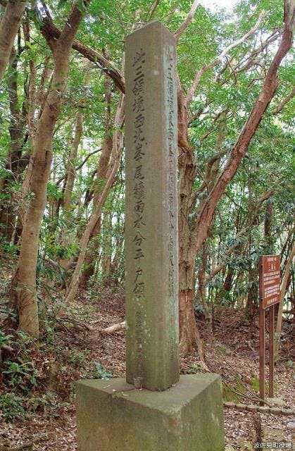 スポットの写真