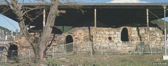 スポットの写真