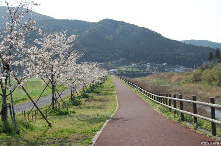 桜づつみロード・田ノ頭河川公園