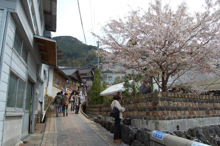 陶郷中尾山　桜陶祭