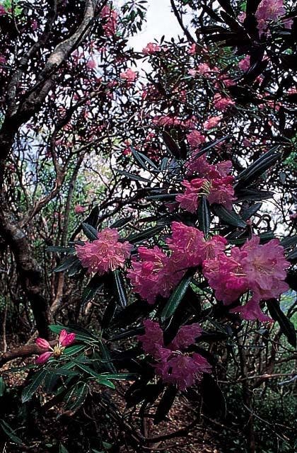 スポットの写真