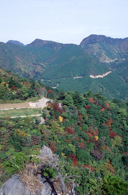 スポットの写真