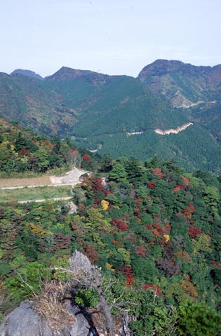 善住寺大山の紅葉