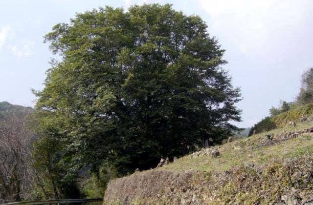 スポットの写真