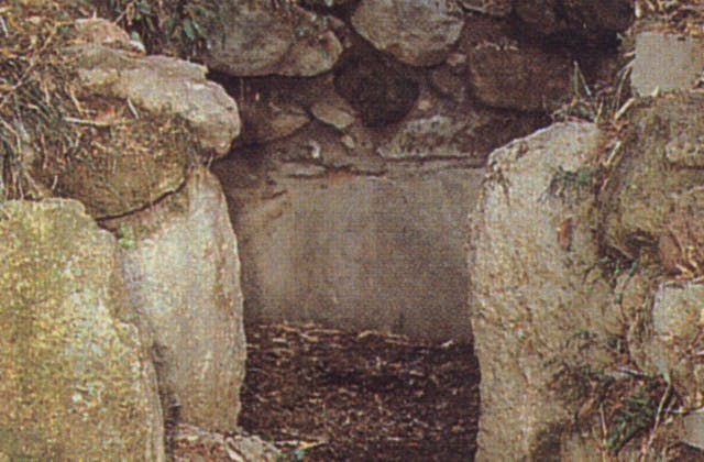 スポットの写真