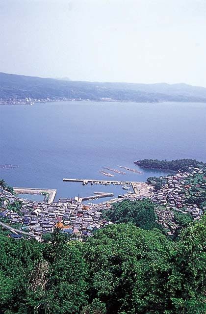 スポットの写真