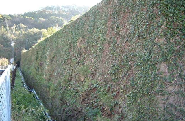 スポットの写真