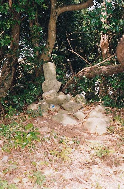 スポットの写真