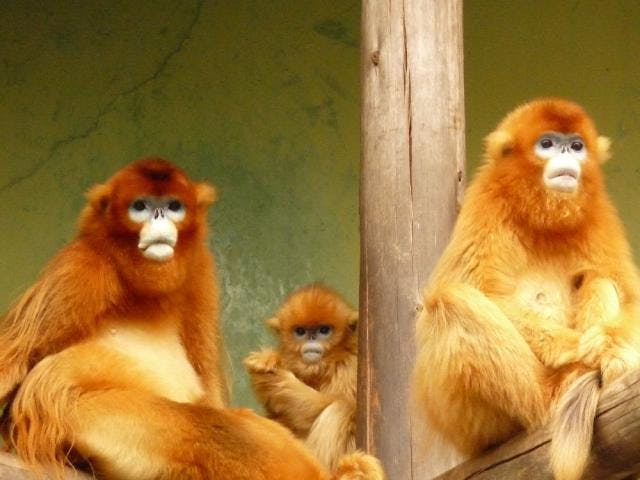 熊本市動植物園 アソビュー