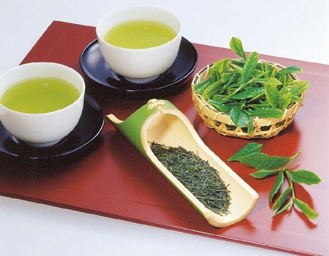 スポットの写真