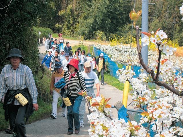 あらお梨の花元気ウォーク