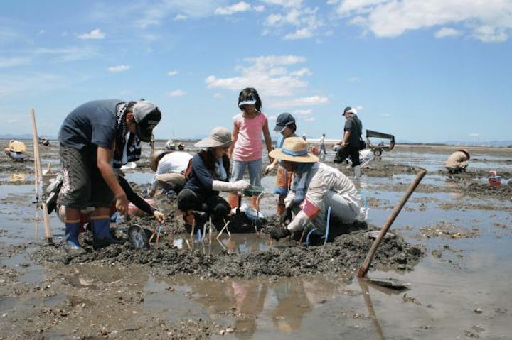 マジャク釣り体験プログラム