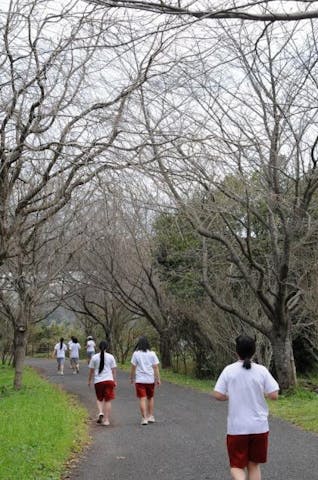 日本一長い運動場