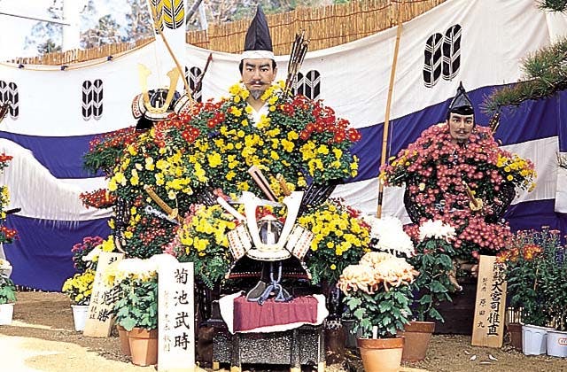 スポットの写真