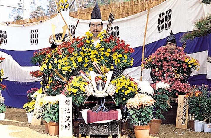 きくち菊人形菊まつり