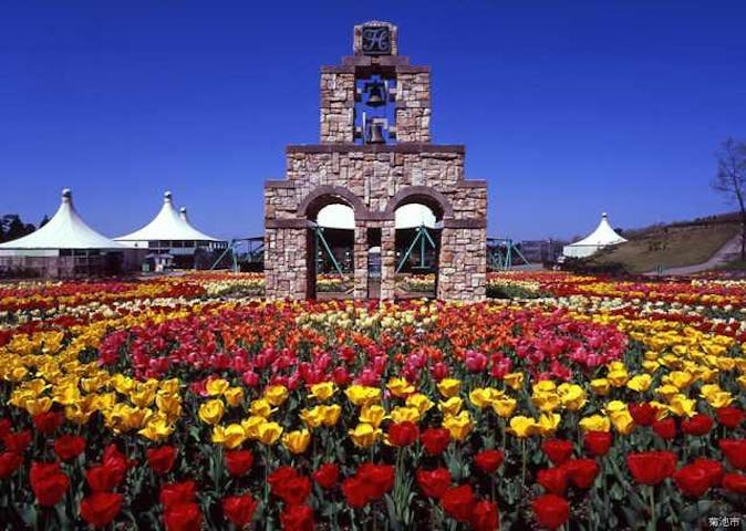 フラワーヒル菊池高原(現在休業中)