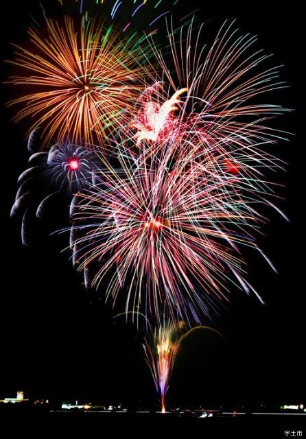 スポットの写真