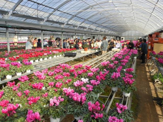 うきうき 花のバスツアー（11月）