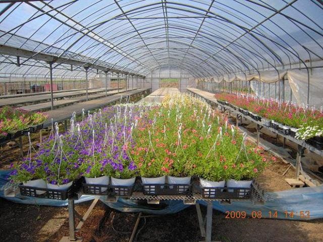 スポットの写真