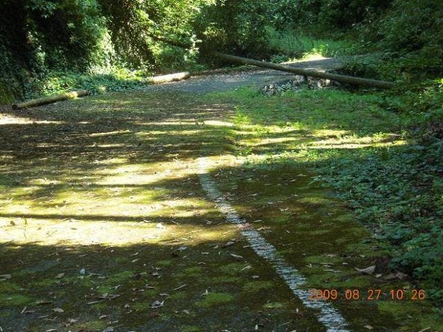 裟婆神峠の石畳