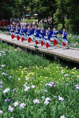 【2021年開催中止】西の久保公園天草花しょうぶ祭り＆食と物産大バザール