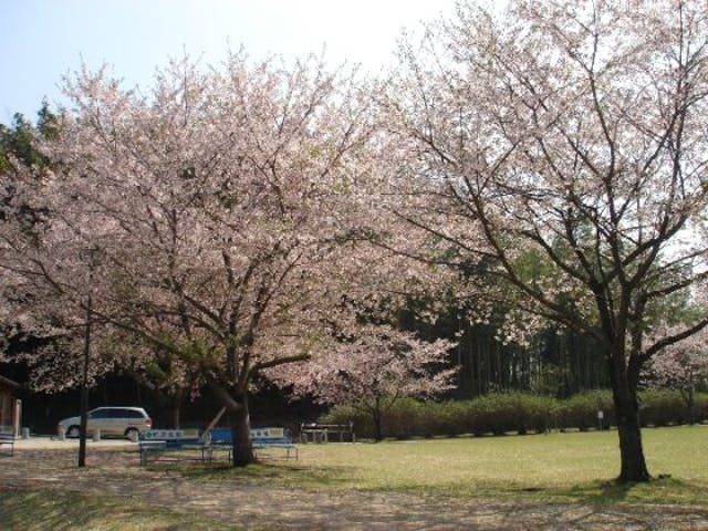 竹迫城跡公園