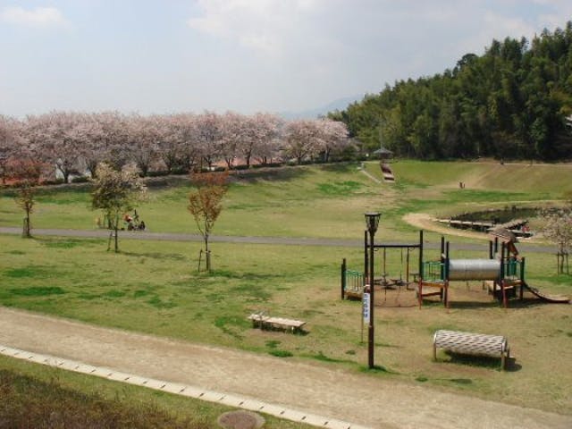 妙泉寺公園