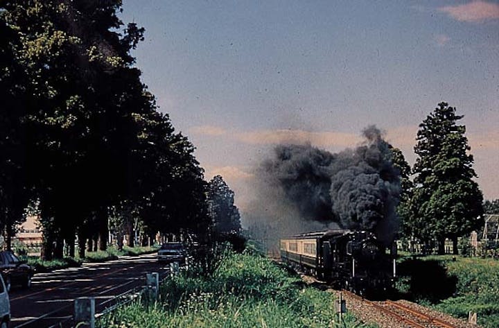 豊後街道菊陽杉並木