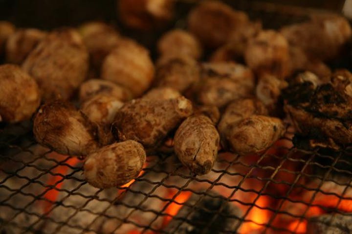 小田温泉「芋煮会」