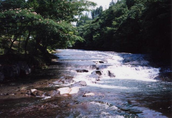 ゆうすい自然の森（旧：遊水峡キャンプ場）