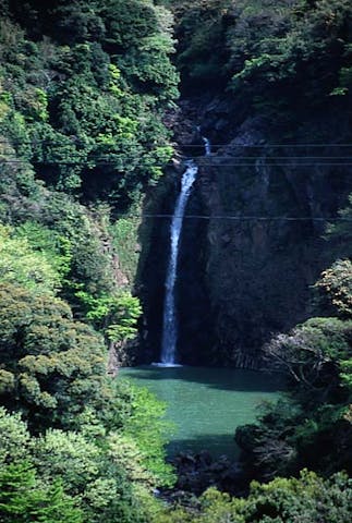 数鹿流ケ滝