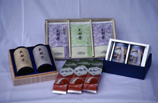 スポットの写真