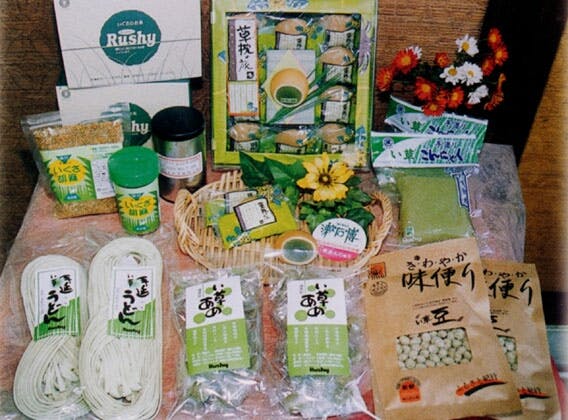 スポットの写真