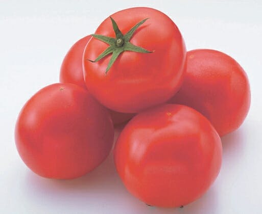 スポットの写真