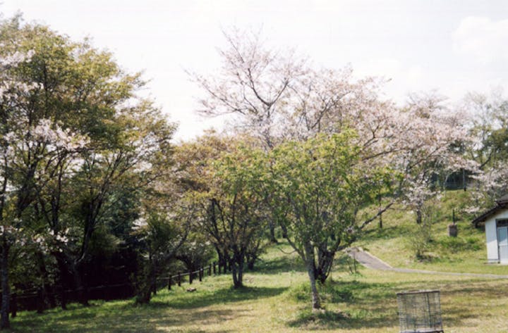 田代ヶ丘公園