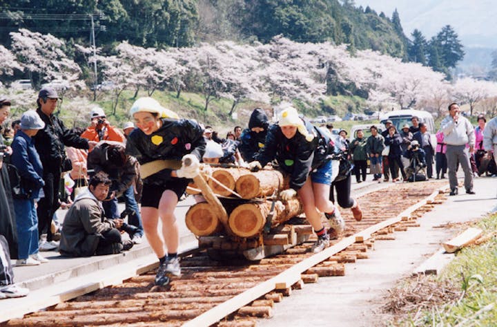【2021年中止】湯山温泉桜まつり