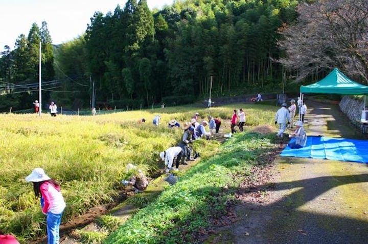 田舎の体験交流館さんがうら